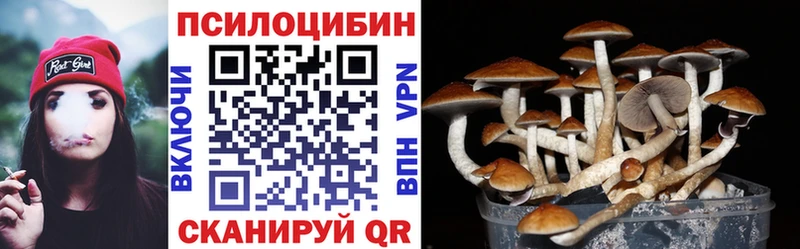 Купить  Юхнов  Галлюциногенные грибы мицелий 